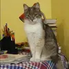 Отзыв от Диана Софронова